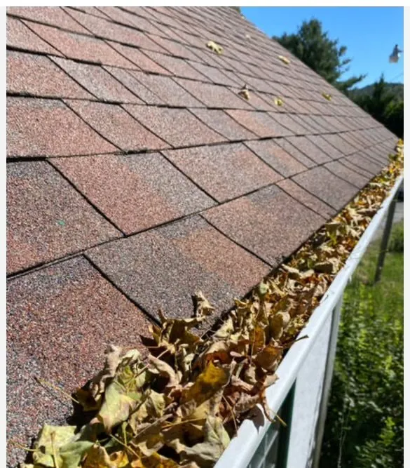 Trusted lawn care service experts serving Fairfax, VA - Emmanuel Landscaping