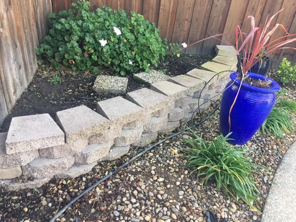 Professional landscape design experts serving Lodi, CA - Emmanuel Landscaping