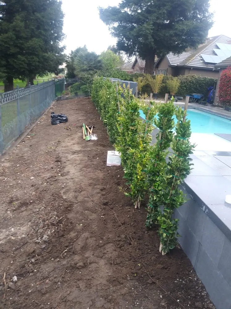 Local lawn mowing service in Lodi, CA by Emmanuel Landscaping