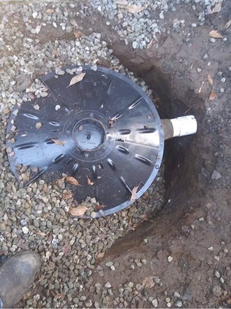 Trusted landscaping services in Lodi, CA - Emmanuel Landscaping