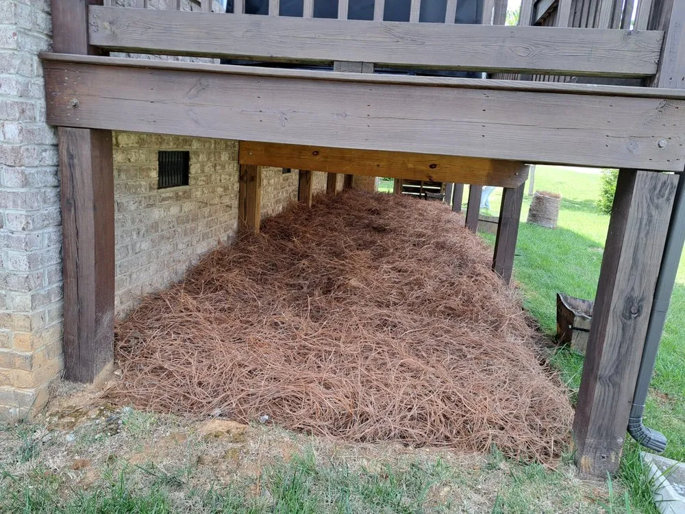 Local lawn care service in Lebanon, TN - Emmanuel Lawn and Landscape