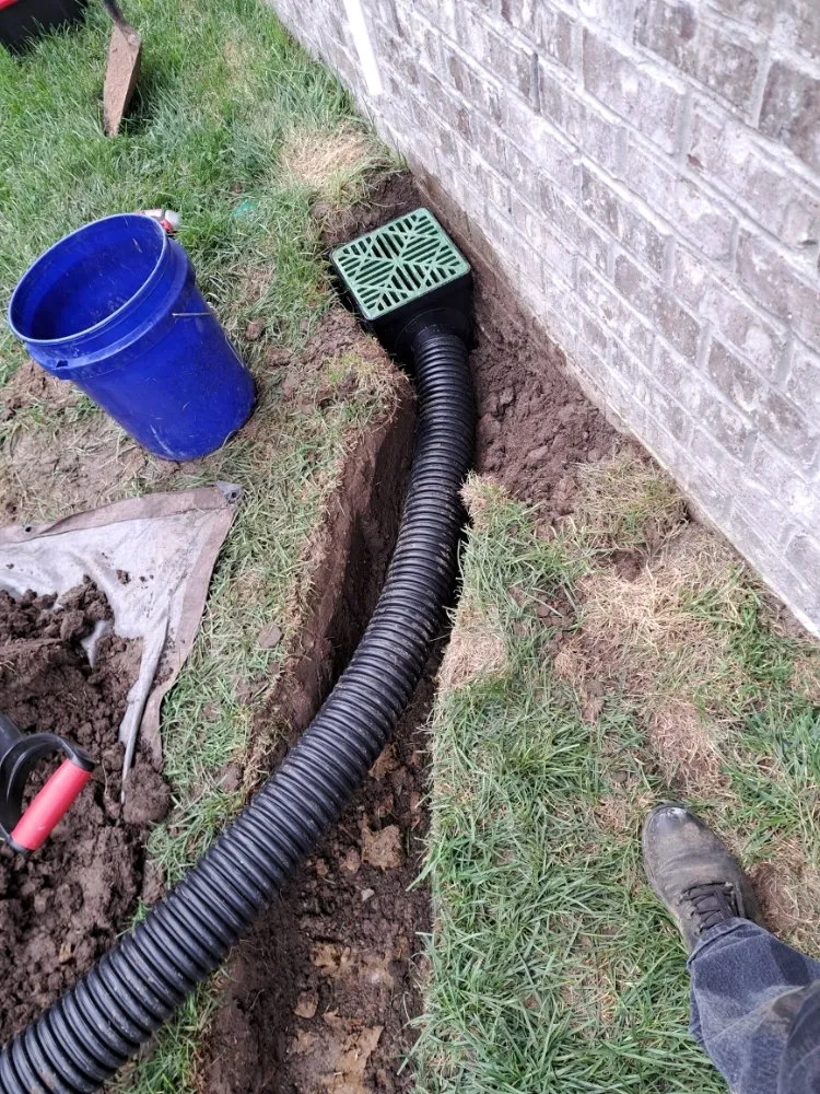 Top-rated lawn care service for homes in Lebanon, TN by Emmanuel Lawn and Landscape