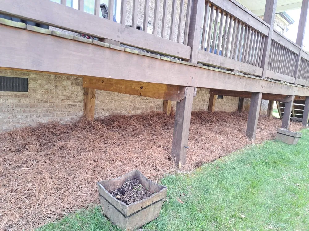 Local yard cleanup service experts serving Lebanon, TN - Emmanuel Lawn and Landscape