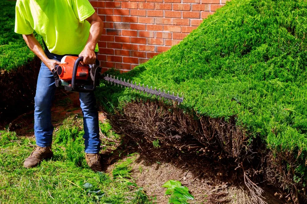 Affordable lawn care service experts serving Jackson Township, NJ - Emmanuel Martinez Lawn Service