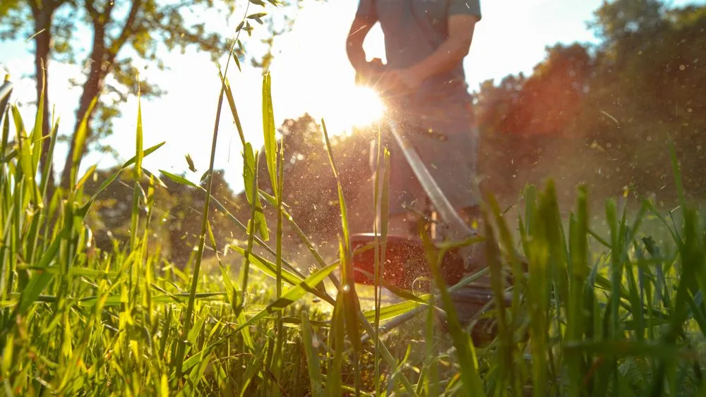 Trusted outdoor landscaping in Jackson Township, NJ by Emmanuel Martinez Lawn Service