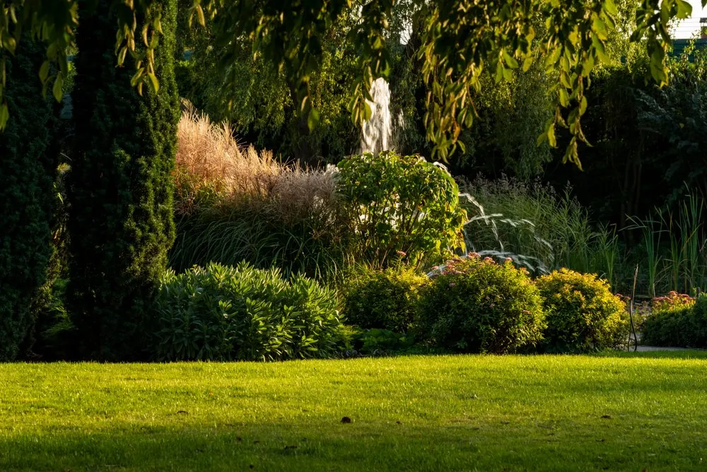 Trusted lawn care service for beautiful yards in Jackson Township, NJ by Emmanuel Martinez Lawn Service