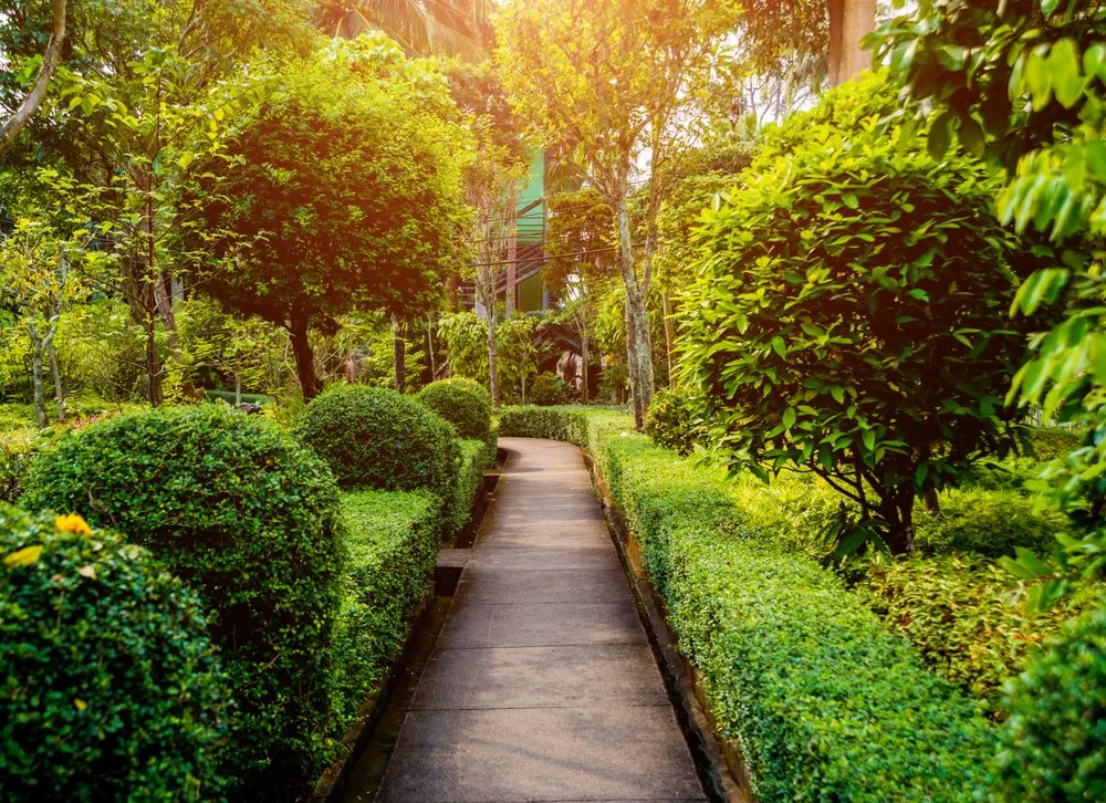 Affordable landscaping services in Jackson Township, NJ by Emmanuel Martinez Lawn Service