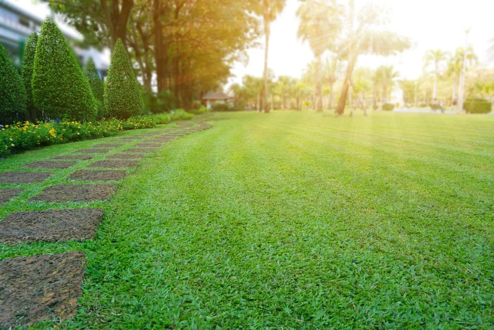 Top-rated residential landscaping in Jackson Township, NJ by Emmanuel Martinez Lawn Service