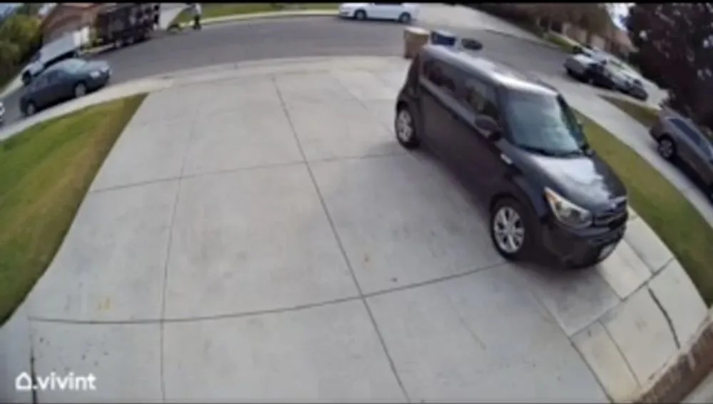 Top-rated outdoor landscaping experts serving Bakersfield, CA - Emmanuels Gardening & Tree Service