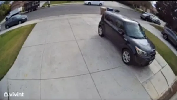 Emmanuels Gardening & Tree Service Logo