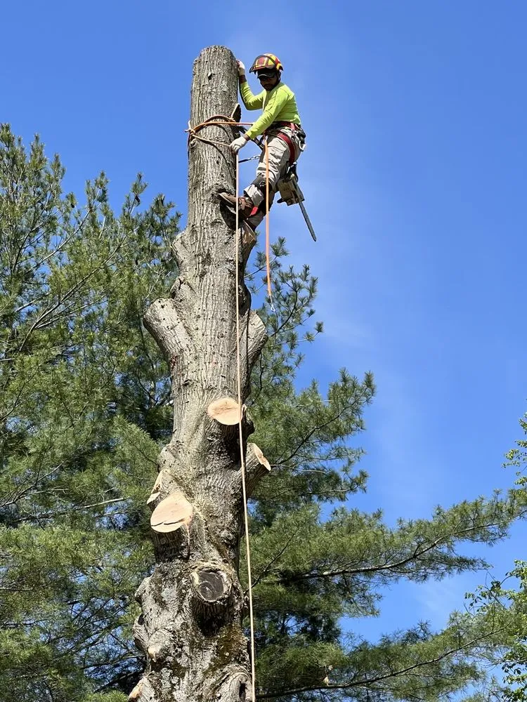 Expert outdoor landscaping for residential properties across New Carrollton, MD - Emmanuel’s Landscaping