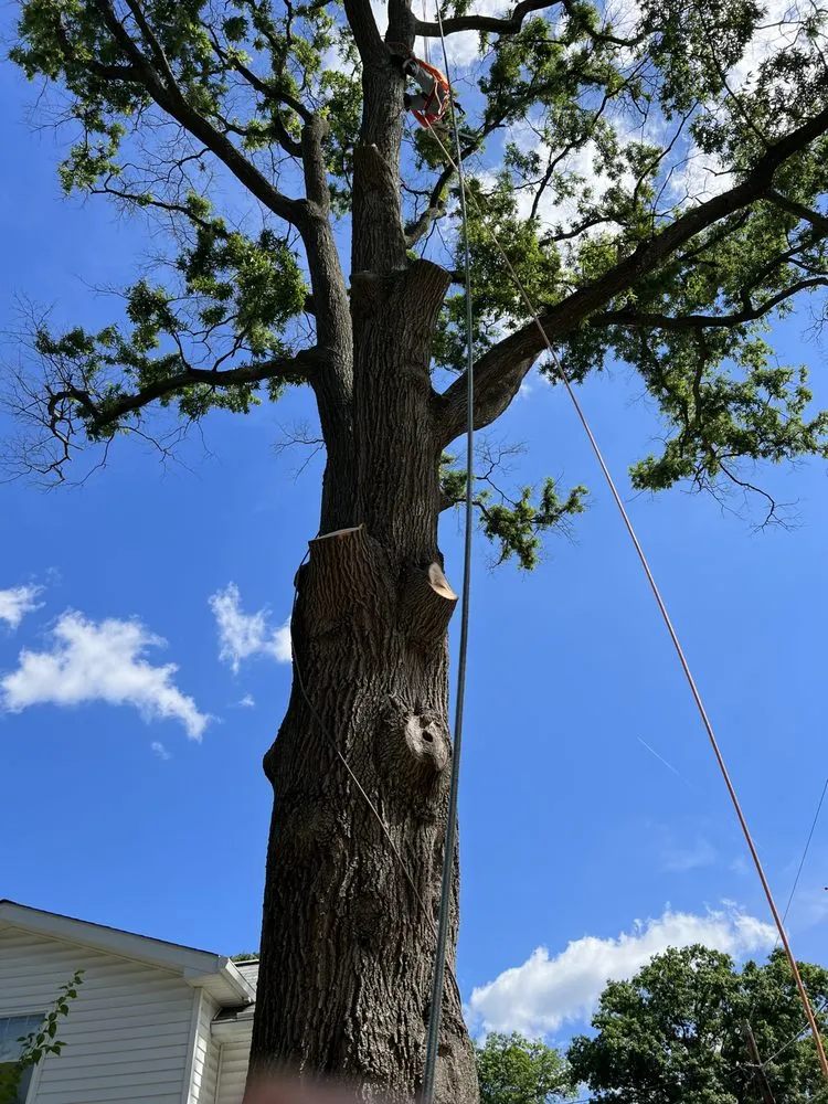 Professional landscaping services with custom design across New Carrollton, MD - Emmanuel’s Landscaping