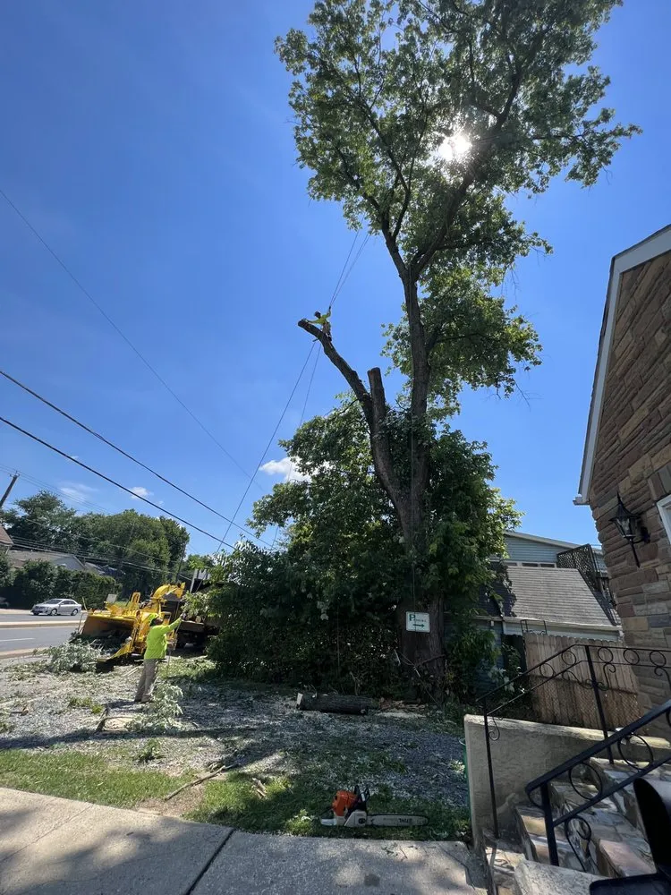 Expert residential landscaping in New Carrollton, MD - Emmanuel’s Landscaping