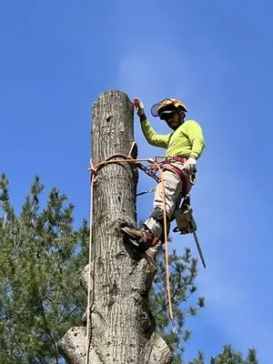 Emmanuel’s Landscaping