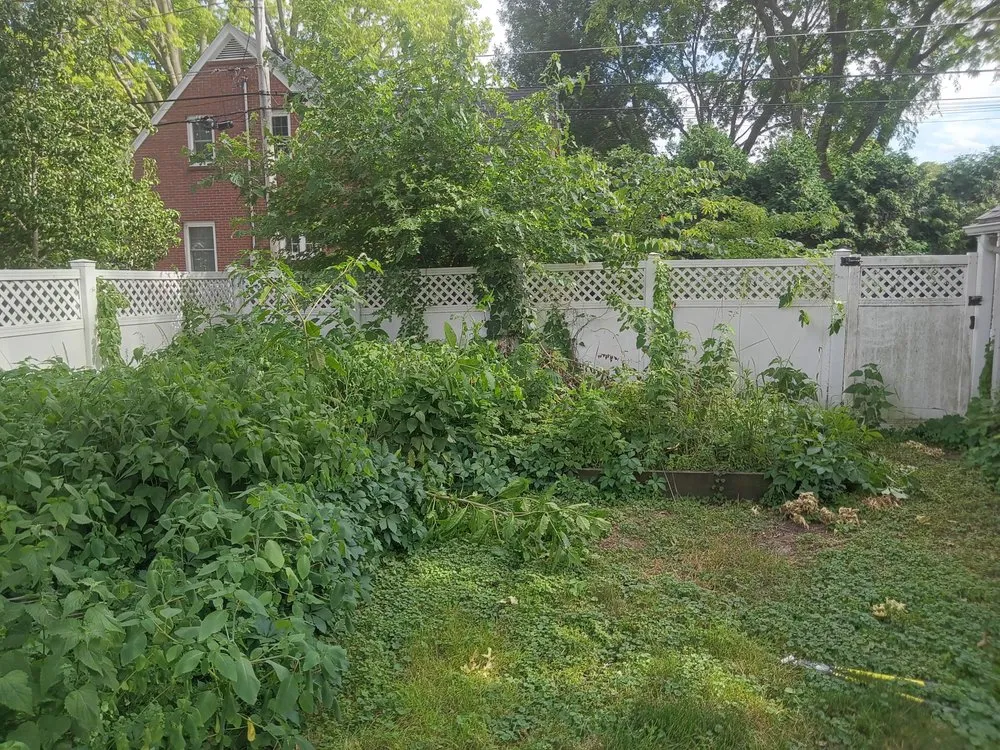 Affordable yard cleanup service in Davenport, IA by Emmitt's Handyman Home Repairs Landscaping