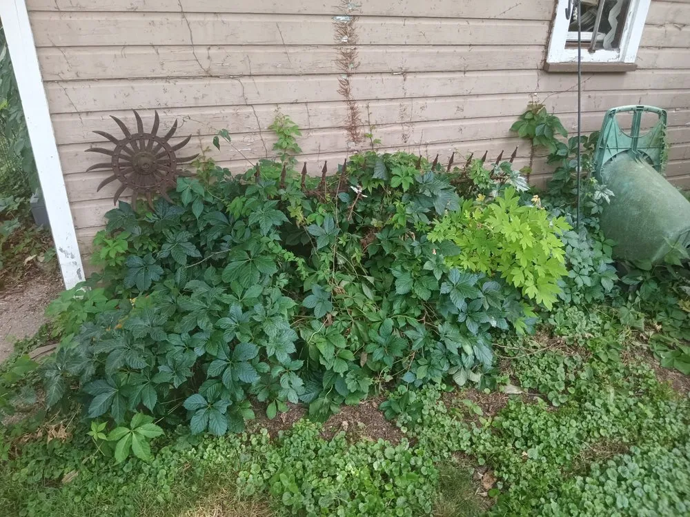 Local landscape installation for residential properties across Davenport, IA - Emmitt's Handyman Home Repairs Landscaping