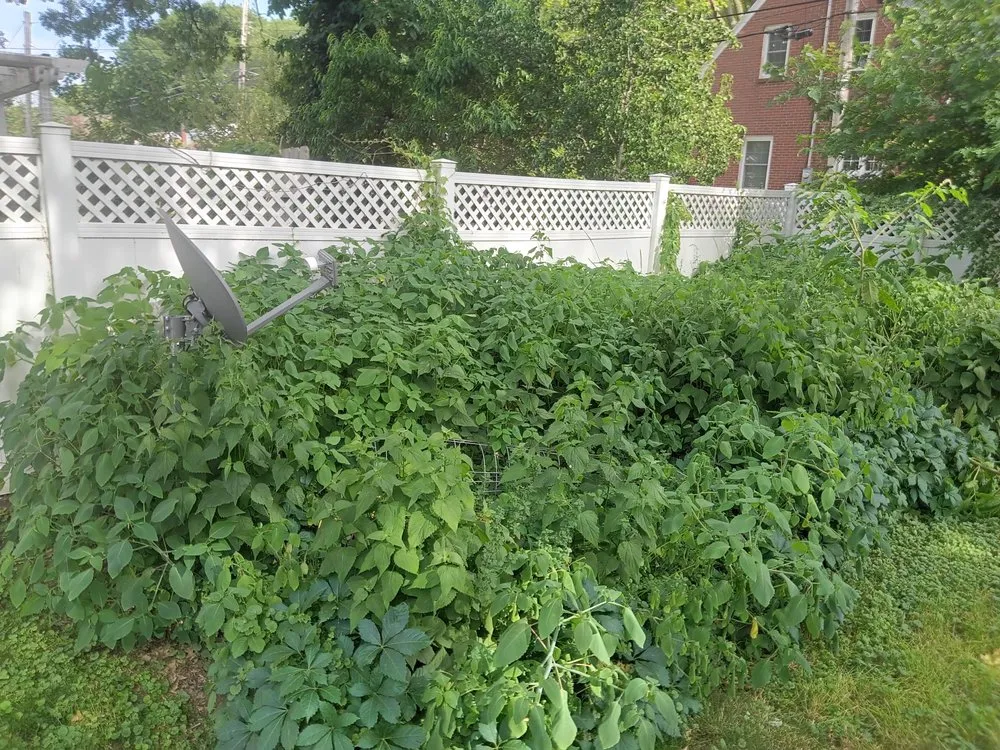 Top-rated lawn care service in Davenport, IA by Emmitt's Handyman Home Repairs Landscaping