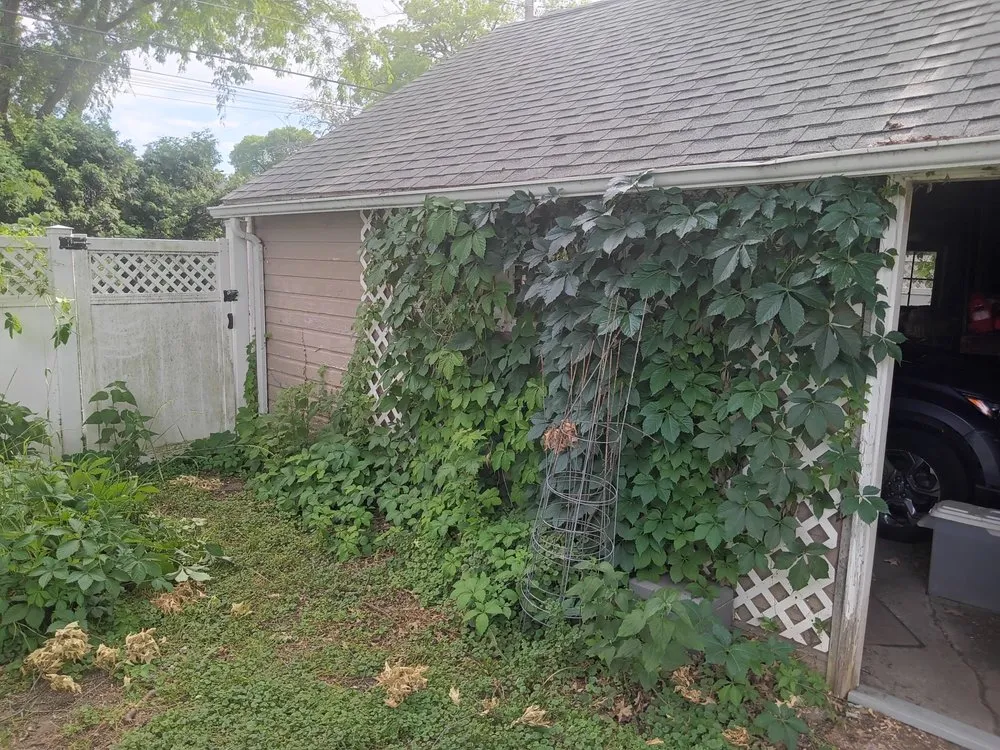 Affordable yard maintenance for residential properties in Davenport, IA by Emmitt's Handyman Home Repairs Landscaping