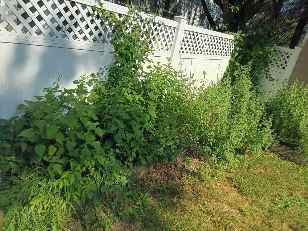 Local lawn mowing service with custom design across Davenport, IA - Emmitt's Handyman Home Repairs Landscaping