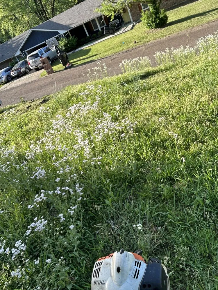 Trusted residential landscaping experts serving Helena, AR - E’mon The Pressure Washer