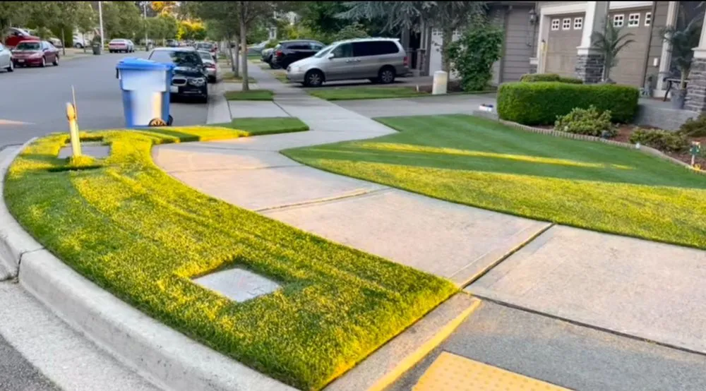 Trusted yard maintenance in Kissimmee, FL - Emov Lawn Care
