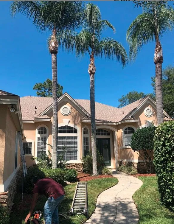 Affordable landscaping services in Kissimmee, FL by Emov Lawn Care