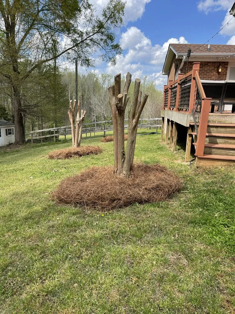 Local lawn mowing service in Spartanburg, SC by Empathy Landscaping