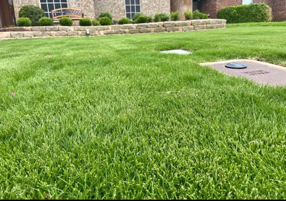 Top-rated residential landscaping for year-round maintenance in Colleyville, TX by Emperor Sod and Stone
