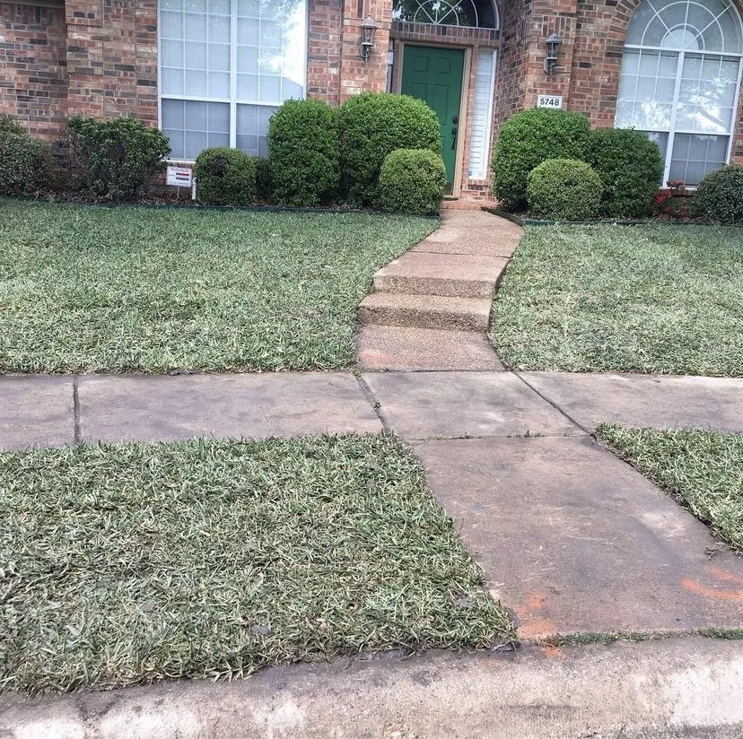 Custom yard maintenance for outdoor upgrades across Colleyville, TX - Emperor Sod and Stone
