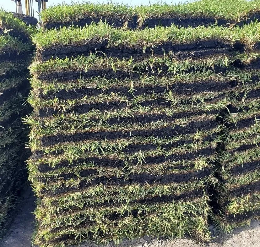 Professional landscape design for year-round maintenance in Colleyville, TX by Emperor Sod and Stone