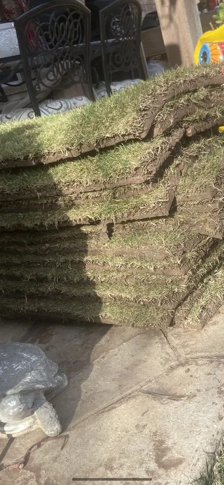 Professional landscaping services in Colleyville, TX by Emperor Sod and Stone