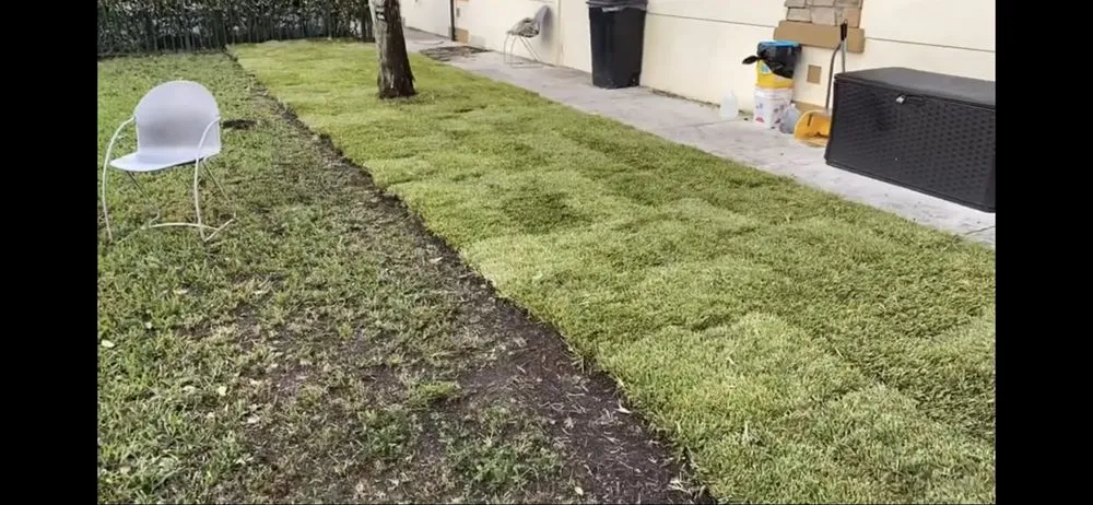 Professional yard cleanup service for beautiful yards in Colleyville, TX by Emperor Sod and Stone