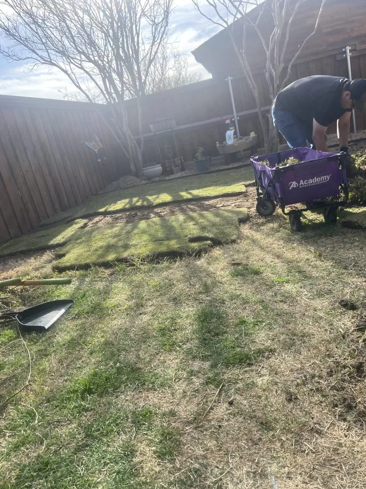 Professional lawn care service for outdoor upgrades across Colleyville, TX - Emperor Sod and Stone