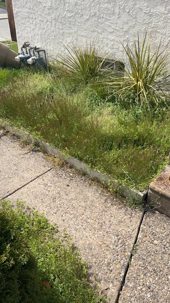 Expert landscape design for homes across Broomall, PA - Emphire Landscaping