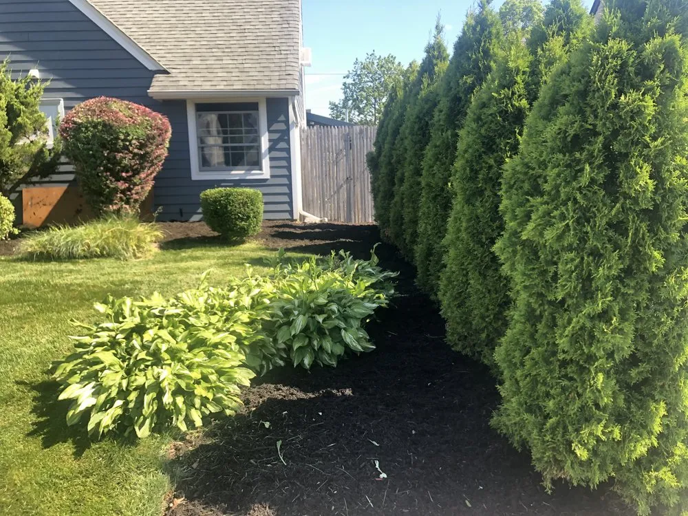 Custom landscaping services for outdoor upgrades across Bethpage, NY - Empire Creators