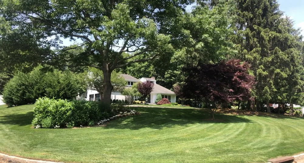 Top-rated yard maintenance for outdoor upgrades across Bethpage, NY - Empire Creators