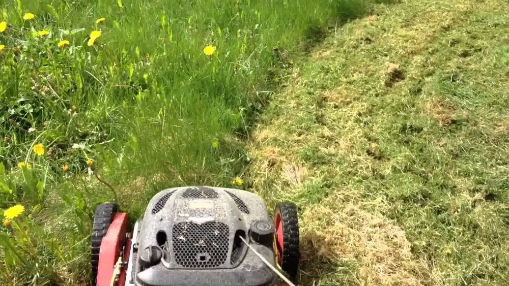 Custom garden landscaping experts serving Devore Heights, CA - Empire Gardening 25 All Medium Houses