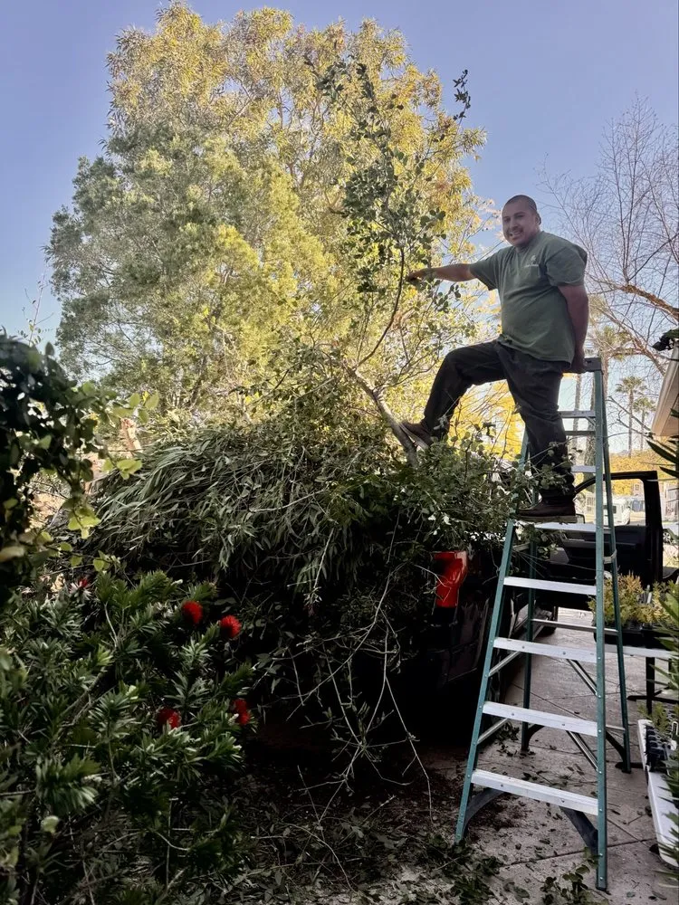 Expert landscaping services experts serving Encino, CA - Empire Landscape