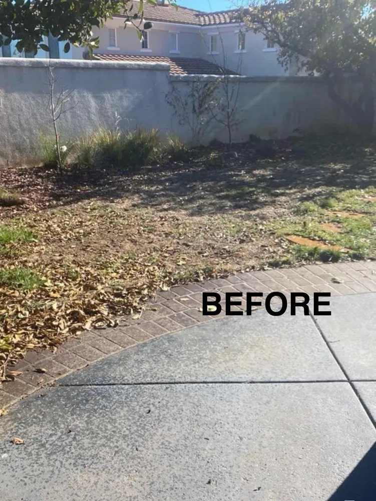 Local yard maintenance in Encino, CA by Empire Landscape