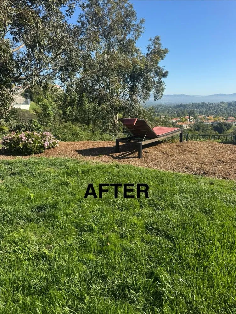 Affordable lawn care service experts serving Encino, CA - Empire Landscape