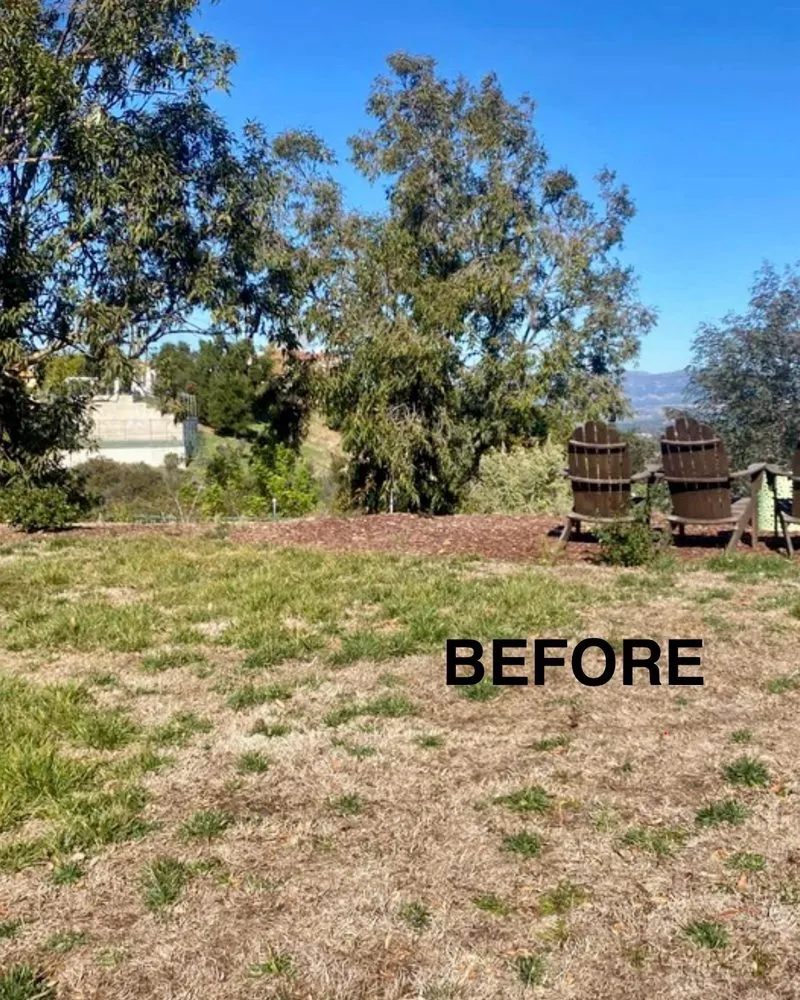 Affordable landscape design in Encino, CA - Empire Landscape