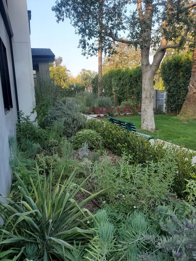Professional landscaping services for homes in Encino, CA by Empire Landscape