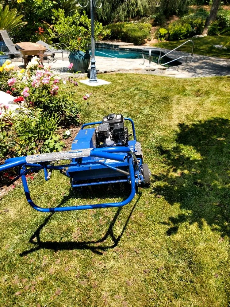 Affordable yard maintenance in Encino, CA - Empire Landscape