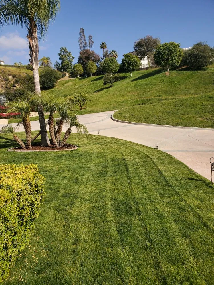 Local garden landscaping in Encino, CA by Empire Landscape