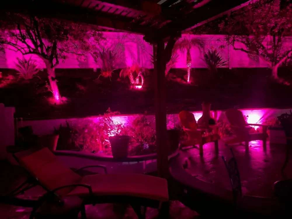 Local lawn mowing service experts serving Encino, CA - Empire Landscape