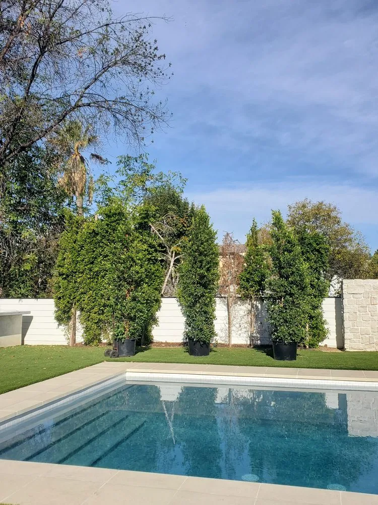 Reliable yard cleanup service for outdoor upgrades in Encino, CA by Empire Landscape