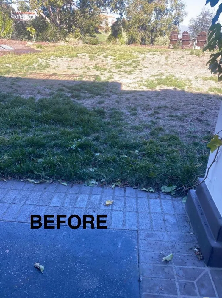 Custom landscape design in Encino, CA by Empire Landscape