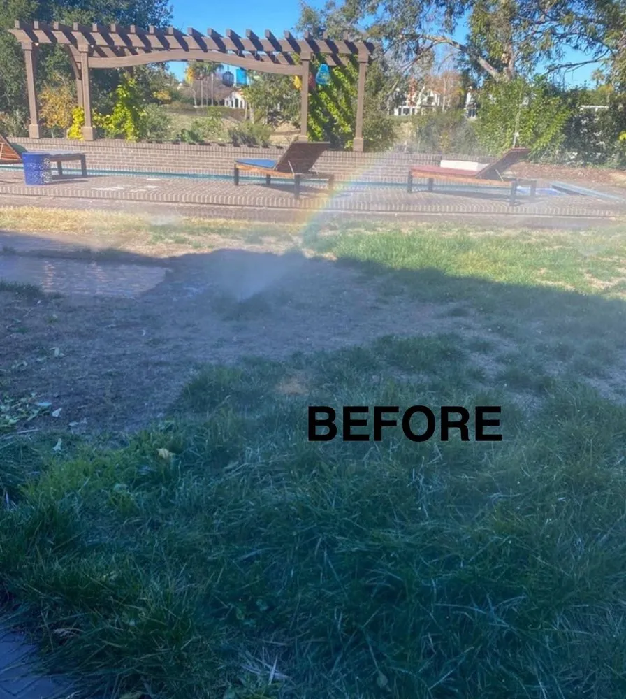 Reliable landscape installation in Encino, CA - Empire Landscape