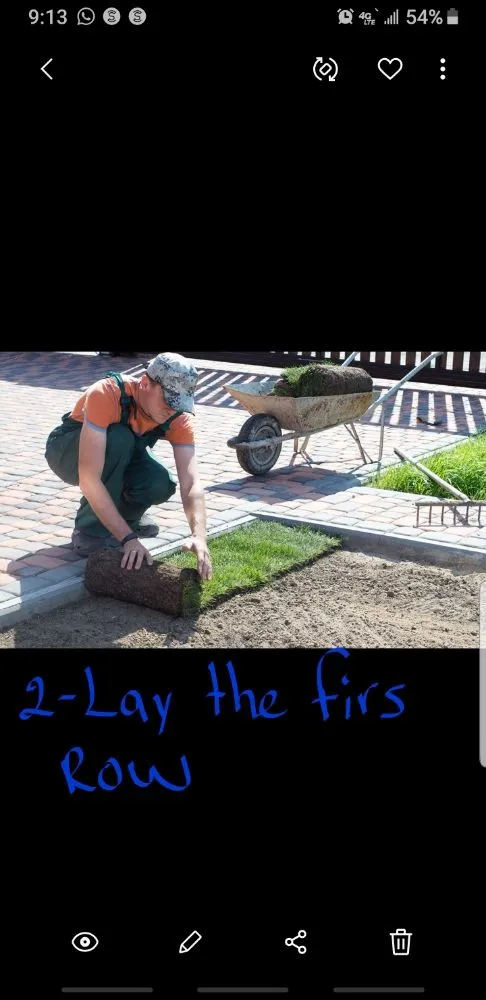 Professional landscaping services in San Jose Ca, CA by Empire landscape Management