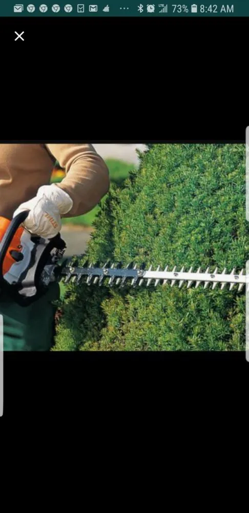 Reliable yard cleanup service experts serving San Jose Ca, CA - Empire landscape Management